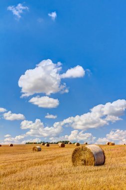 Saman balya Hayır bir alan