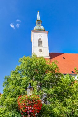 St Martin's Cathedral
