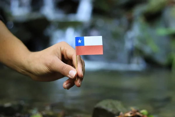 Młody aktywista trzyma w rękach flagę Chile na drewnianym kiju. Pokaż nam symbol stanu w środowisku naturalnym. Pojęcie miłości do jej kraju i ludzkości. Piękno przyrody w tle — Zdjęcie stockowe