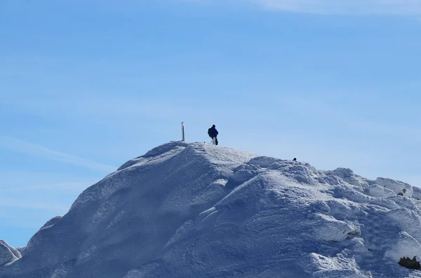 Lobo solitário no pico de Chopok em Low Tatras, na Eslováquia, Europa. Morro nevado e homem com rucksak fica e desfrutar de vistas para o vale e paraíso céu azul. Conceito de selvageria e liberdade — Fotografia de Stock