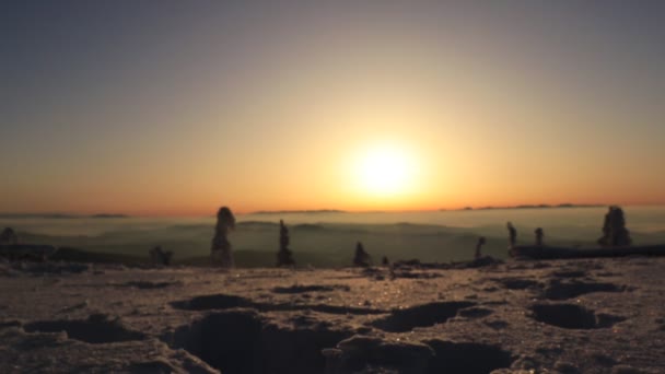 Beskydy Czech Cumhuriyeti Avrupa Şubat 2020 Çocuk Güneş Doğarken Karda — Stok video