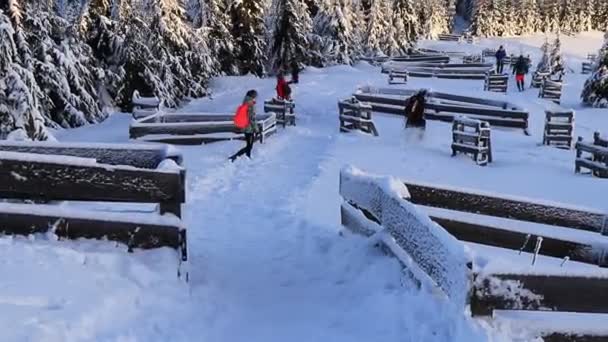 Lysa Hora Czech Republic February 2020 Travelling Men Run Frozen — Stock Video