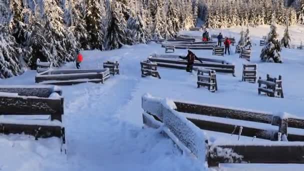Lysa Hora Czech Republic February 2020 Travelling Men Run Frozen — Stock Video