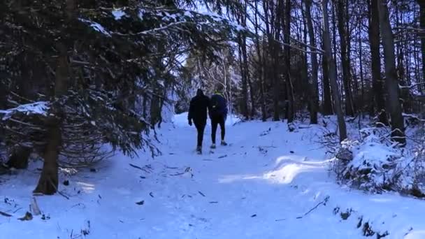 Ondrejnik Beskydy Czech Republic Europe February 2020 两名成年男子登上奇峰 游客们走过雪地和树枝 户外生活方式 — 图库视频影像