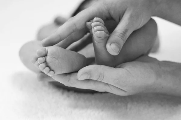 A mão do pai e da mãe segura o pé do bebê recém-nascido — Fotografia de Stock