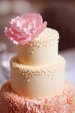 çeşitli katmanları üzerinden şenlikli düğün pastası