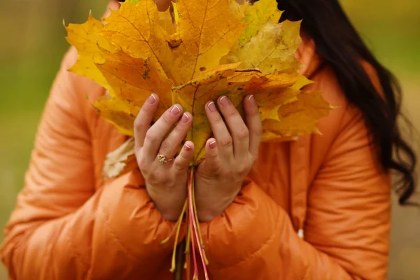 A narancssárga kabátot a lány kezét tartsa sárga juharlevél — Stock Fotó
