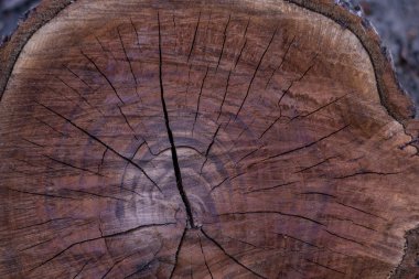 arka plan, günlük ev