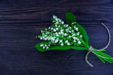 Karanlık ahşap arka planda Vadi Zambağı