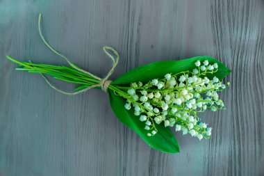 Karanlık ahşap arka planda Vadi Zambağı