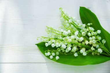 Vadi zambakları ahşap beyaz bir arka planda metin için yer var.