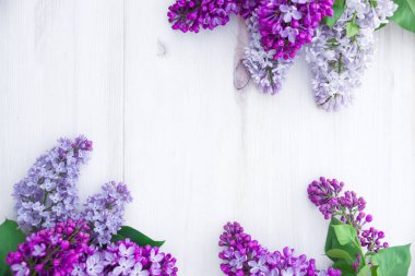 Beyaz ahşap arka planda, yazı için yeri olan leylak rengi bir buket.