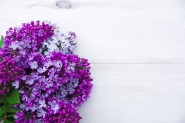 Beyaz ahşap arka planda, yazı için yeri olan leylak rengi bir buket.