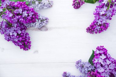 Beyaz ahşap arka planda, yazı için yeri olan leylak rengi bir buket.