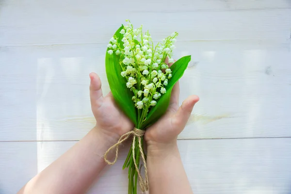 bouquet of lilies of the valley in hands on a white old wood background