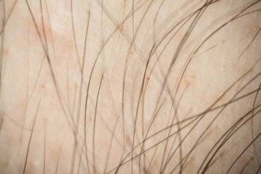 Yumuşak odaklanma. Mans saç makro arkaplan ince sanat yüksek kaliteli baskı ürünleri