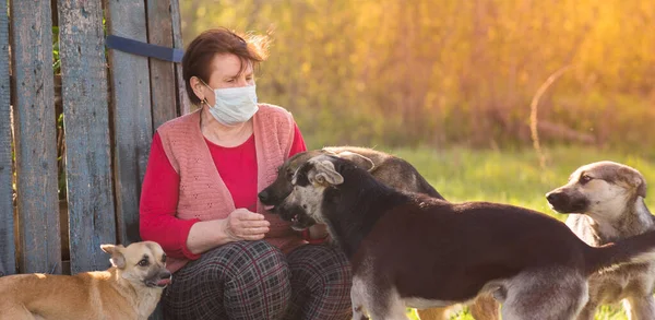 Tıbbi maskeli, evsiz köpeği açık havada olan bir gönüllü kadın. Gönüllü olma ve hayvan barınakları kavramı. Köpeğin olduğunda daha yenisin.