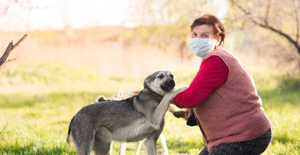 Tıbbi maskeli, evsiz köpeği açık havada olan bir gönüllü kadın. Gönüllü olma ve hayvan barınakları kavramı. Köpeğin olduğunda daha yenisin.