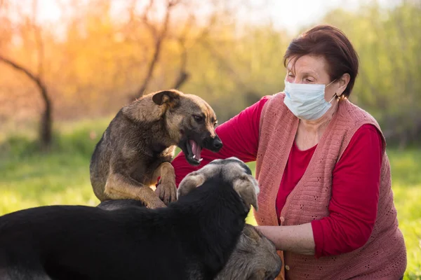 Female volunteer in medical mask with homeless dog outdoors. Concept of volunteering and animal shelters. Newer alone when you have dog