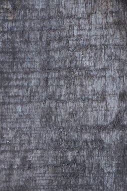 Kusursuz doku- ahşap meşe - fayanslı. Yüzey zamanla aşınmış, eski ahşap arka plan. Grungy ahşap tahtayı yakın plan çekerek kırdı..