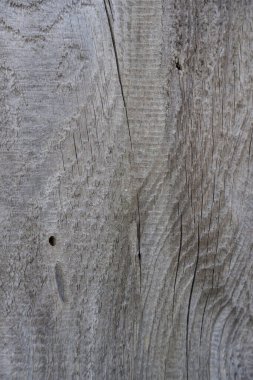 Kusursuz doku- ahşap meşe - fayanslı. Yüzey zamanla aşınmış, eski ahşap arka plan. Grungy ahşap tahtayı yakın plan çekerek kırdı..