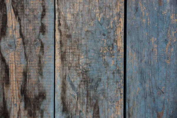 Old wood fence, wood texture background. Structure of a tree.