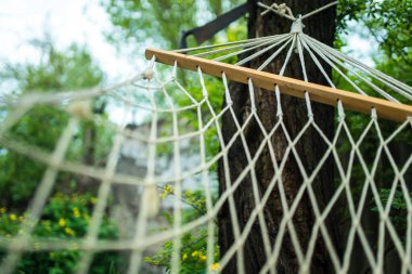 Sunny Yard 'daki hamak. Yeşil bahçe