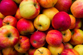 Ekologická jablka v dřevěných bednách. pozadí. Detailní záběr mnoha růžové syrové zářivé barevné červené zelené barvy jablka v bedně stánku na displeji na trhu zemědělců