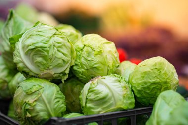 Plastik bir kutuda beyaz ve yeşil lahana. Karton kutularda lahana. Organik sebze işi.