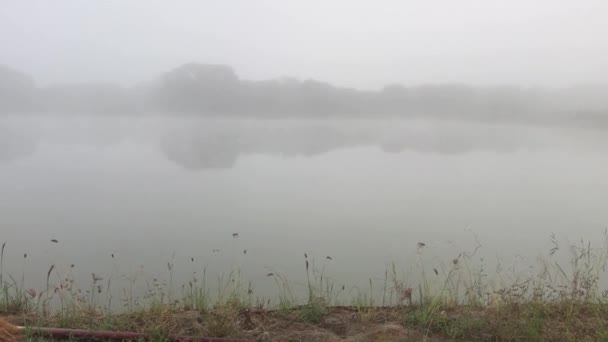 Filmación Paisaje Vista Estación Invierno Niebla Gran Lago Por Mañana — Vídeo de stock
