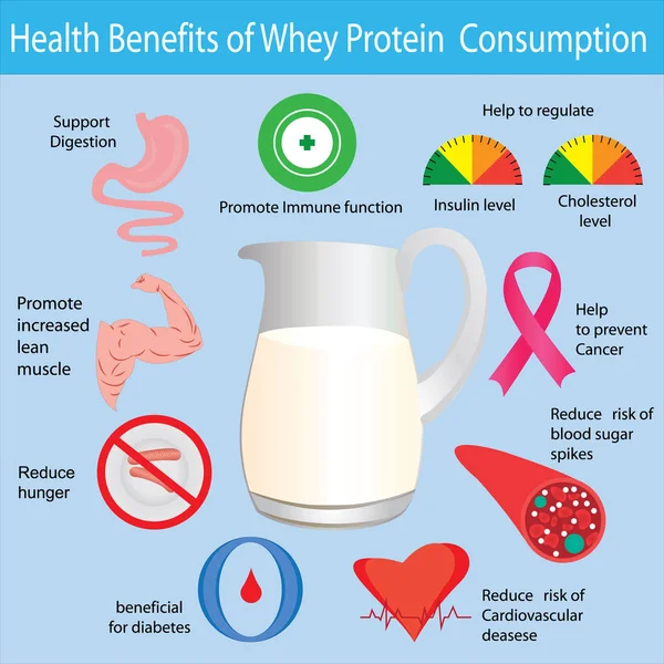 Avantages pour la santé de la consommation de protéines de lactosérum infgraphique — Image vectorielle