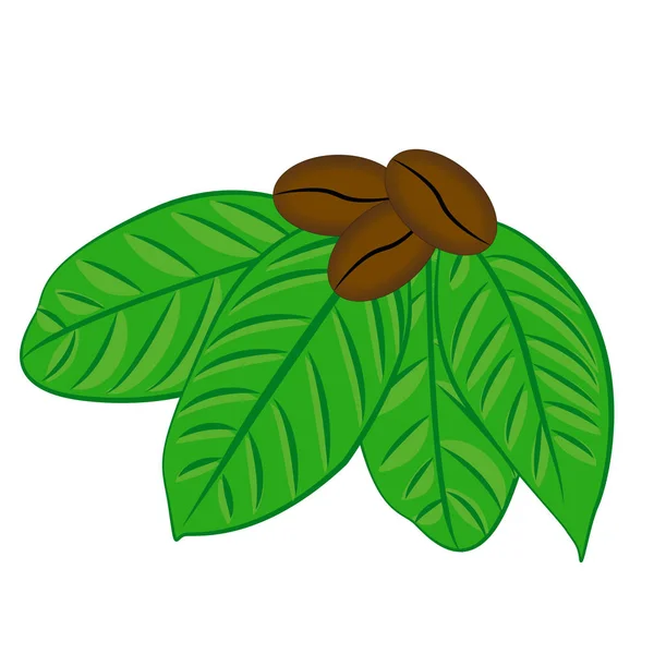 Ziarna kawy i nasion i liści płaski kolor ikony dla aplikacji żywności — Wektor stockowy