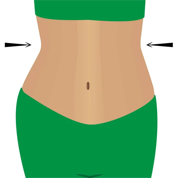 Slimmimg female belly vector illustration — Stock Vector