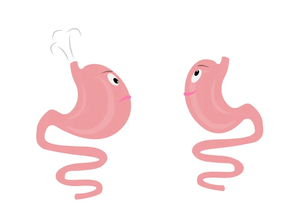 Hinchazón y saludable estómago de dibujos animados — Archivo Imágenes Vectoriales