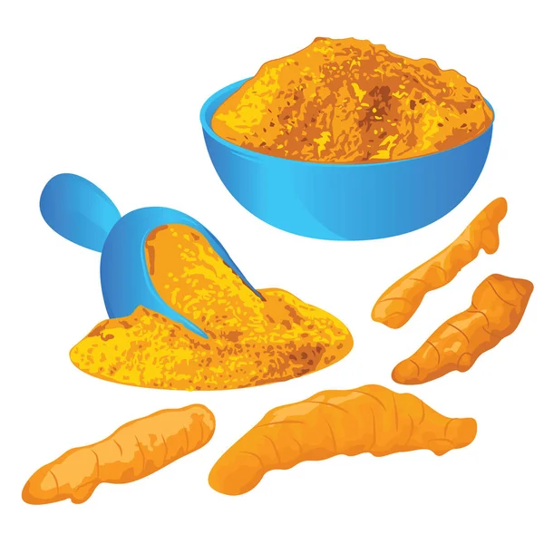 Turmeric roots and powder in a bowl on a white background — Stock Vector