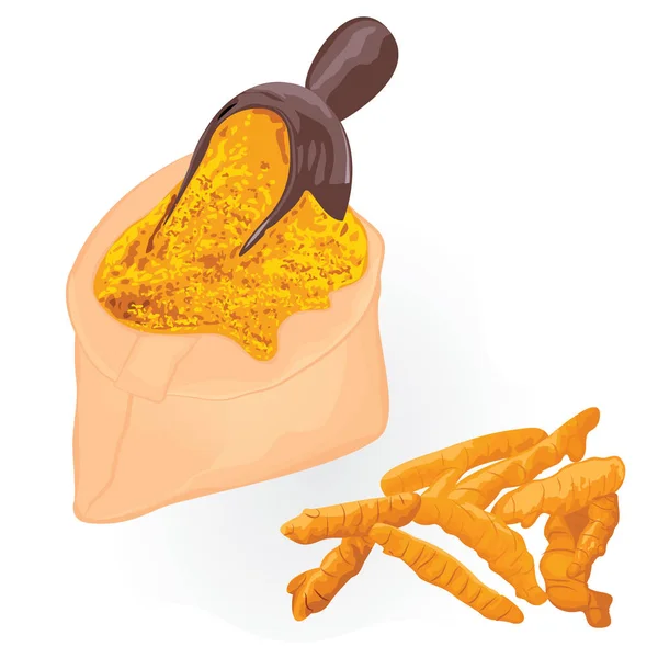 Rădăcini de turmeric și pulbere într-o pungă pe un fundal alb — Vector de stoc