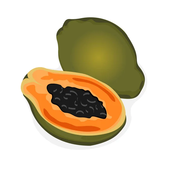 Papaya vektor illustration — Stock vektor