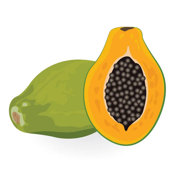 Papaya vectorillustratie — Stockvector