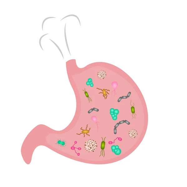 Un estómago lleno de microbios. Estilo de dibujos animados — Vector de stock