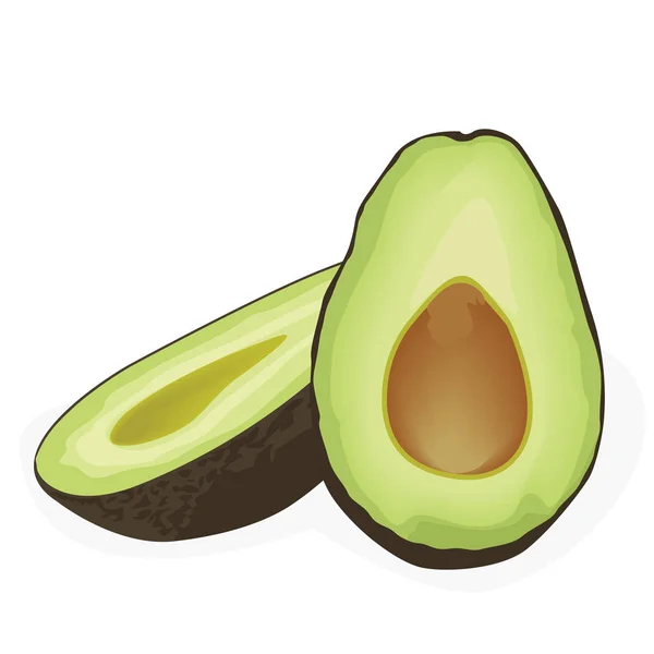 Twee helften van avocado — Stockvector
