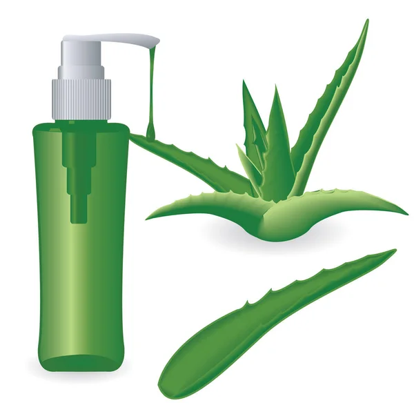 Aloe Vera Pflanze und eine Flasche Gel — Stockvektor