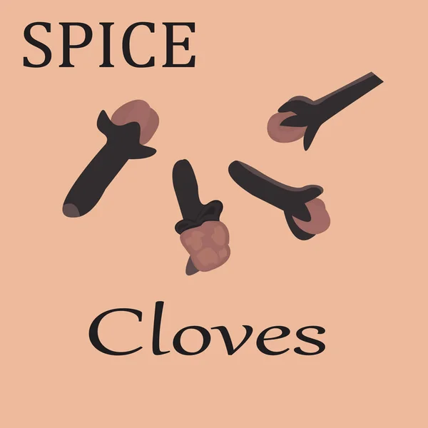 Cloves vector illustration — Stock Vector