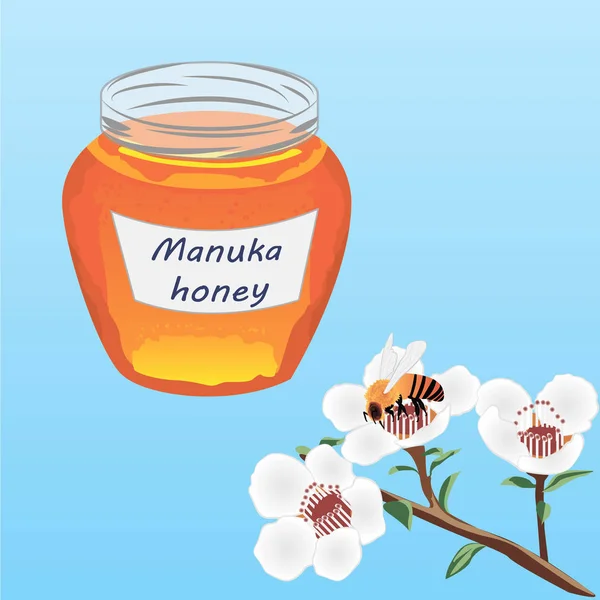 Manuka mel e um brunch de manuka florescendo e uma abelha — Vetor de Stock
