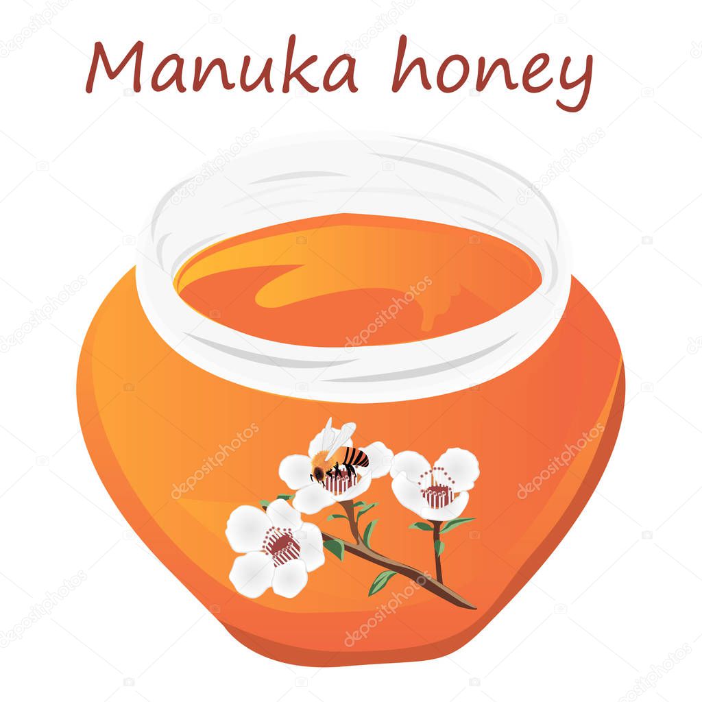 Manuka honey and A brunch of manuka blooming and a bee