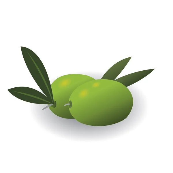 Illustration vectorielle isolée d'olives sur fond blanc — Image vectorielle