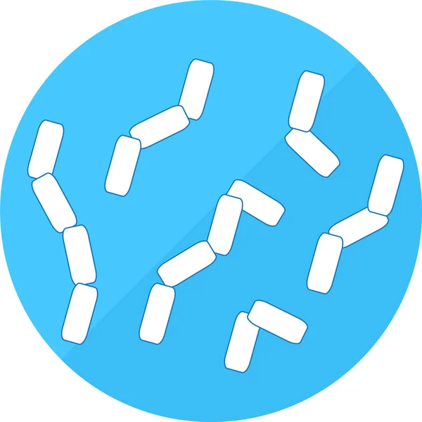 Bifidobacterias Buena Microflora Bacteriana Del Icono Del Vector Del Intestino — Vector de stock