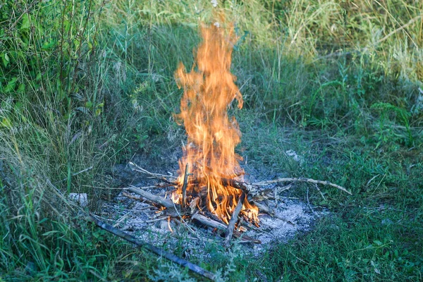 夏天的一天 森林里的草地上 篝火熊熊燃烧 环境和自然 — 图库照片