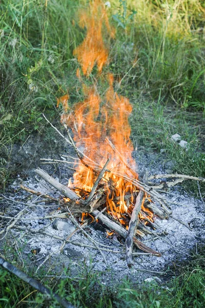 在森林里准备烧烤的篝火 — 图库照片