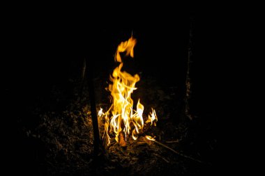 Gece karanlığında alevler, siyah arka planda izole edilmiş bir kamp ateşinin görüntüsü. 