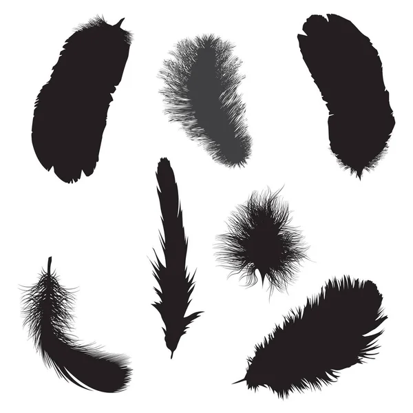 Jeu Plumes Couleur Noire Illustration Graphique Vectorielle Sur Fond Blanc — Image vectorielle